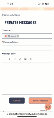 Handy1_0-1703906748365.png