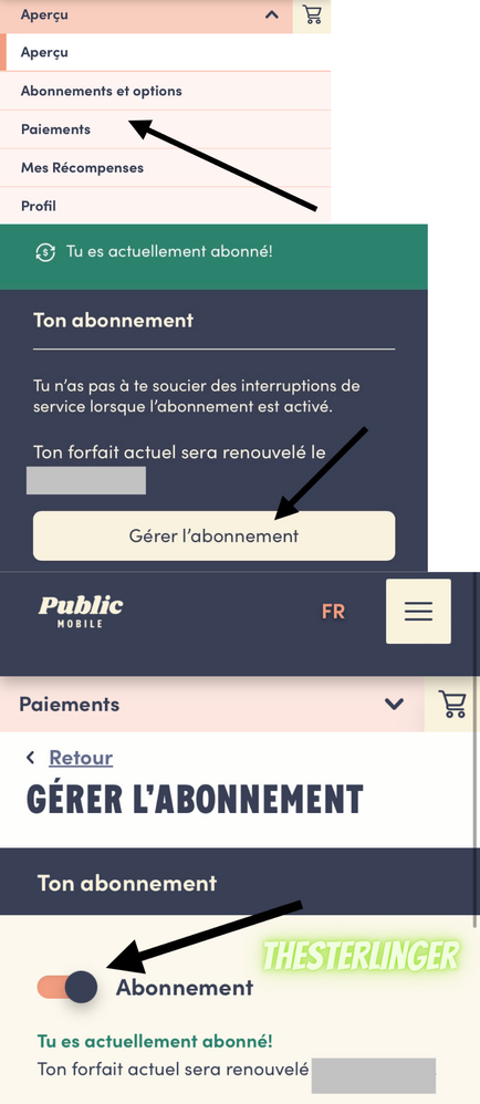 Autopay french.png