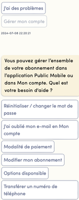 Capture d’écran, le 2024-07-08 à 10.21.35 p.m..png