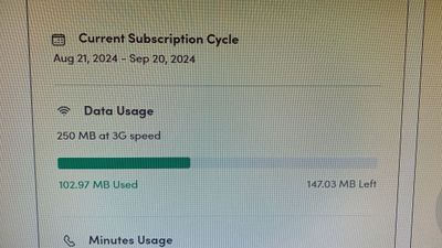 Aug 21, 24 Overview.jpeg