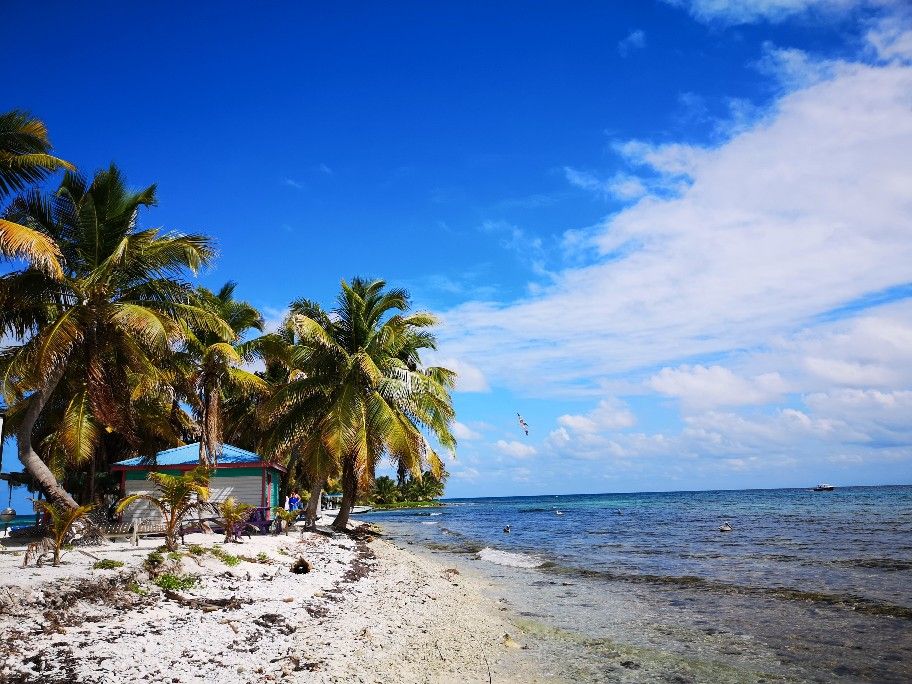 Laughing bird caye belize