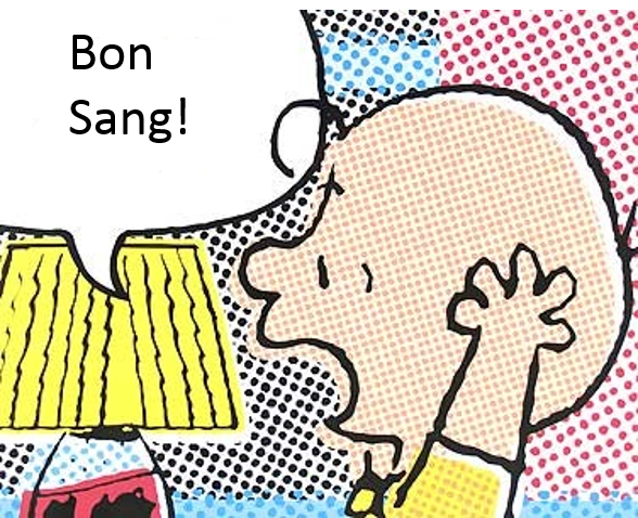 Bon Sang Charlie Brown.png