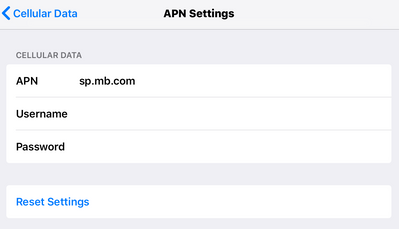 iPad APN settings