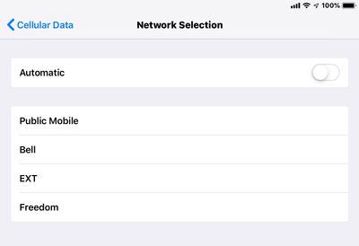 Network Selection iOS 12.4 iPad