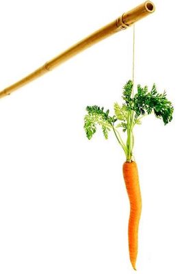 carrot-on-a-stick2.jpg