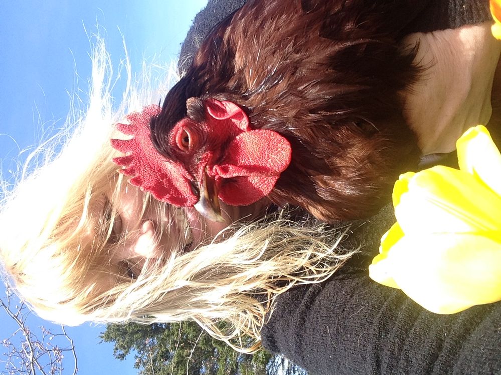 Cockadoodledoooo!! Time to wake up to a better provider!!!