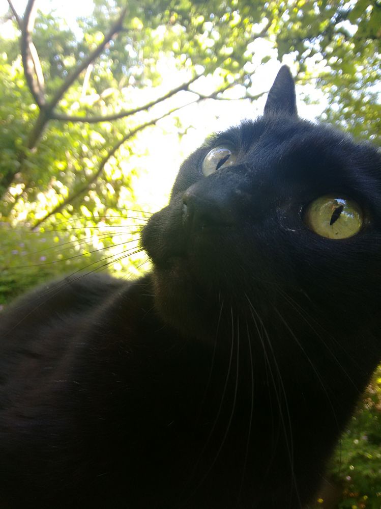 Miss you everyday Max!