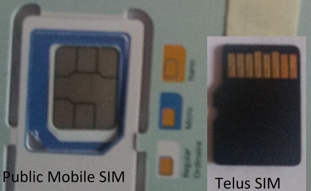 Telus - PUblic Mobile SIM.jpg