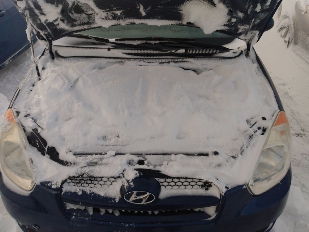 The engine bay in my car after we had 90+cm of snow and 130+km/h winds