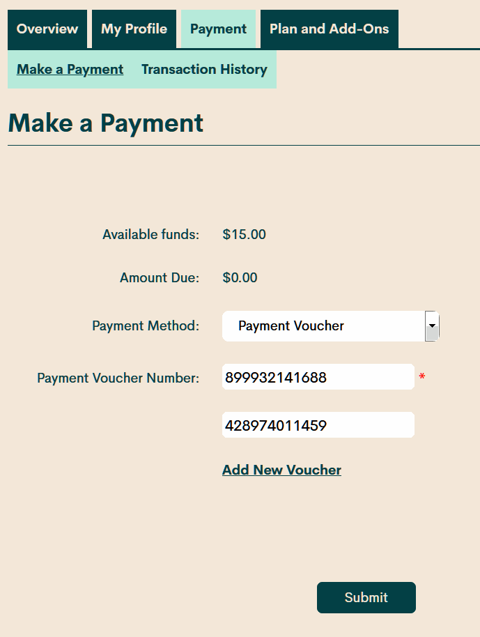 You can enter multiple vouchers at once using the "Add New Voucher" link before "Submit"