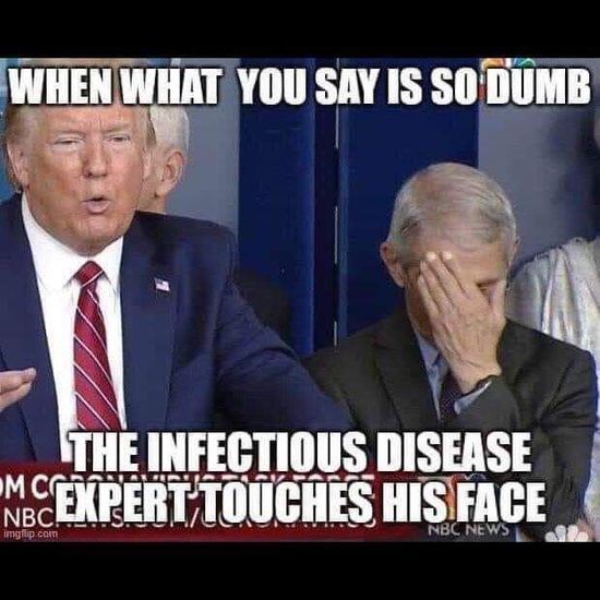 Disease Expert.jpg