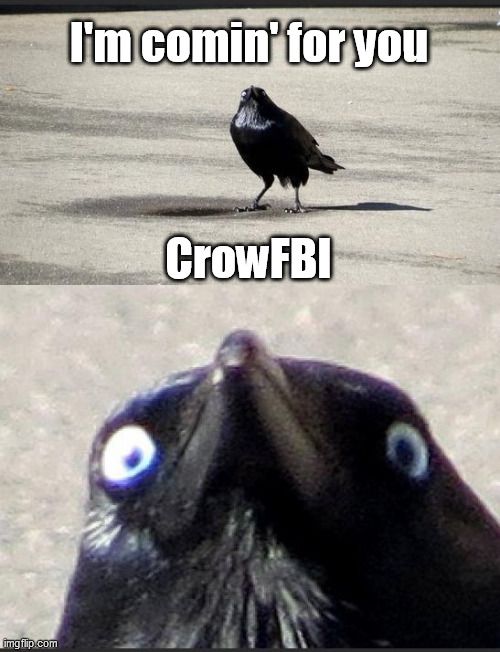 CrowFBI.jpg