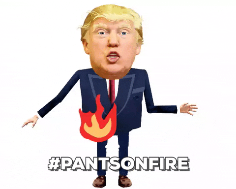 Pants on Fire.gif