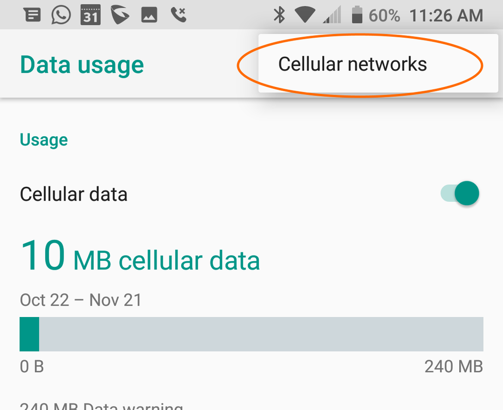 Step 1: Tap the vertical elipsis (⋮) and choose "Cellular Networks"