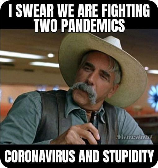 Two Pandemics.JPG