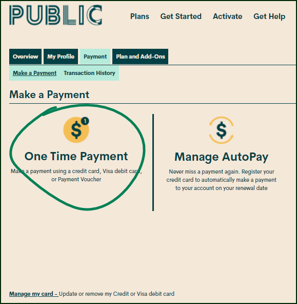 Make a Payment one-time payment.png