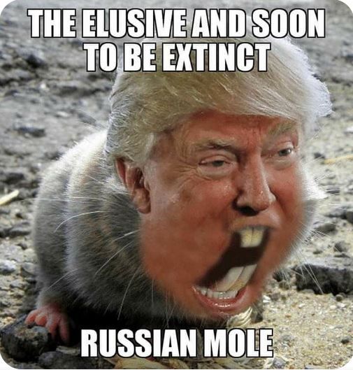 Russian Mole.JPG