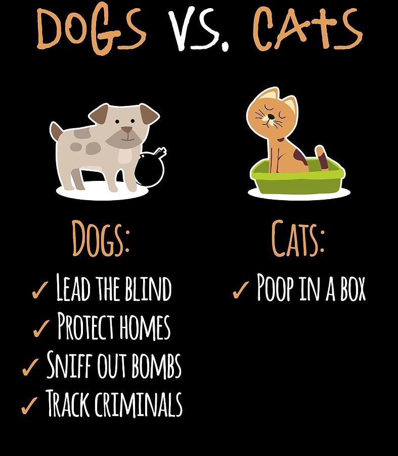 dogs-vs-cats-jk.jpg