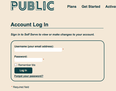 Screen Shot 2021-02-17 at 10.08.23 AM.png