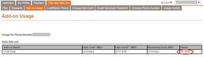 PM_AddOnUsage_DataPlan_StatusOnHoldDuringRenewal.jpg