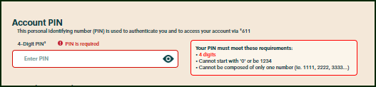 Account PIN.png