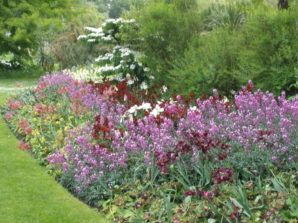 Plant some flowers AND watch them grow