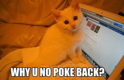 why-u-no-poke-back-cat.jpg