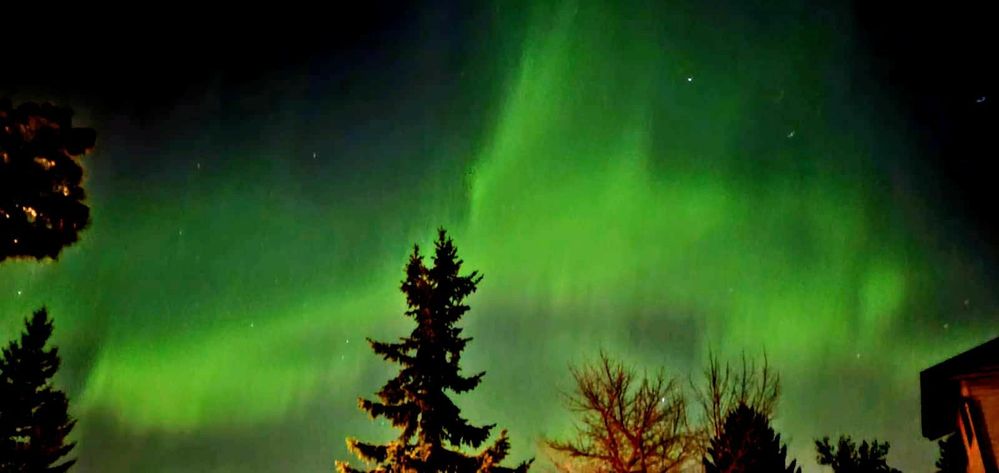 Northern Light -2021-10-12.jpeg