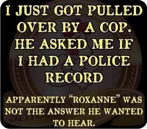 Cop Roxanne.JPG