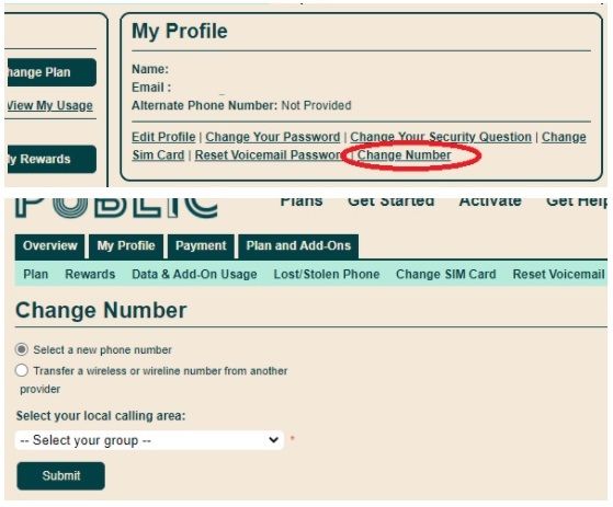 https://selfserve.publicmobile.ca/Overview/ChangeNumber/