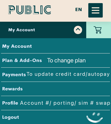 Handy1_0-1675911869275.png