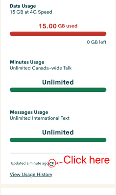Handy1_0-1676135787916.png