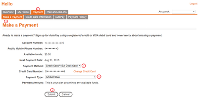 Payment_Make a payment_Credit Card.PNG